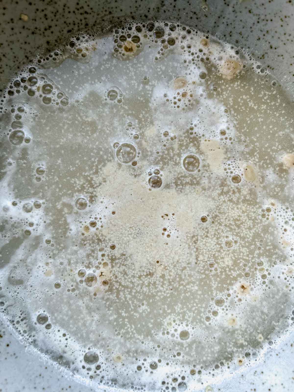 proofing yeast