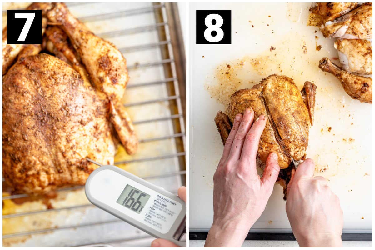 temping the chicken and carving