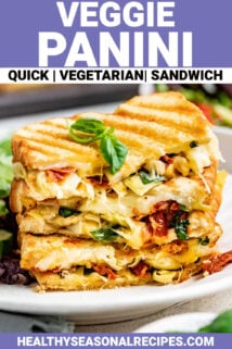 veggie panini sandwich