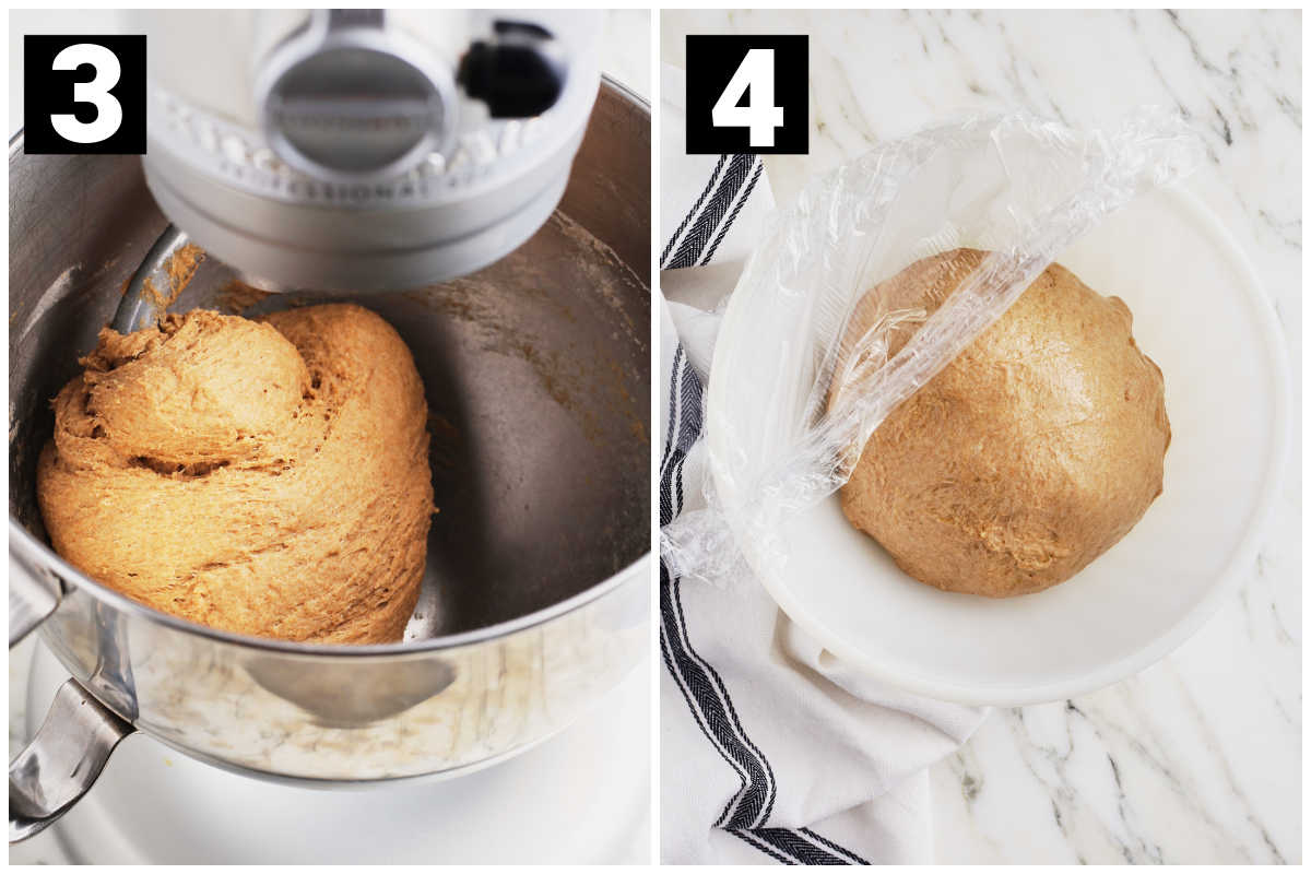 kneading dough and covering it with plastic wrap in a greased bowl