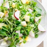 cress salad in circular white bowl