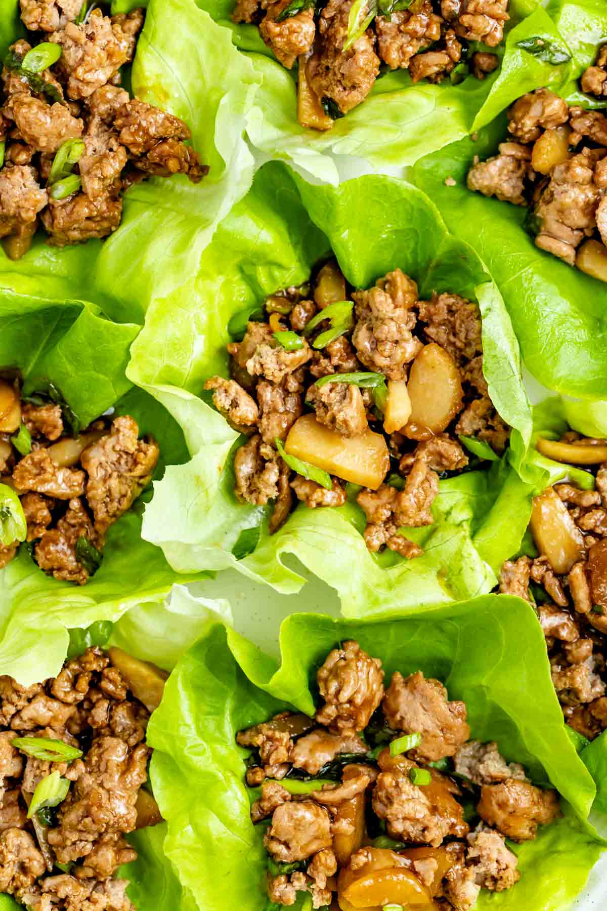 close up of 5 ingredient ground turkey lettuce wraps