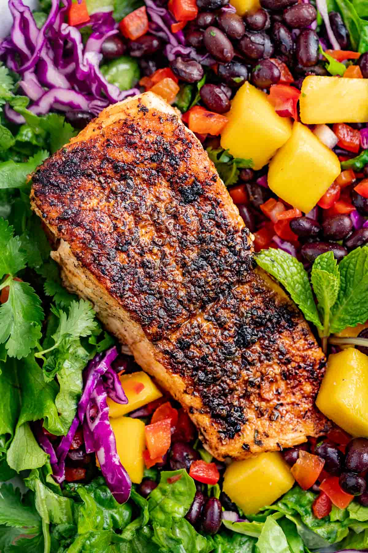 close up shot of the cajun blackened salmon on top of the salad with mango and beans