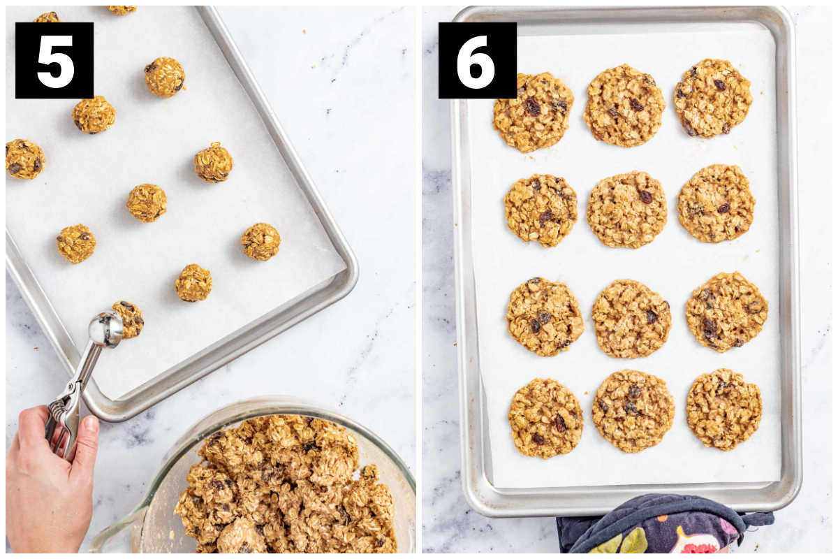 5 on the left is a parchment lined baking sheet with balls of oatmeal cookie dough evenly spaced on it, and 6 on the right are the baked cookies on the parchment lined baking sheet