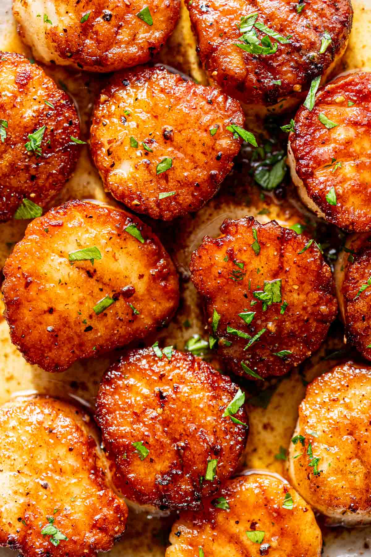 pan seared scallops up close from overhead with parsley on top