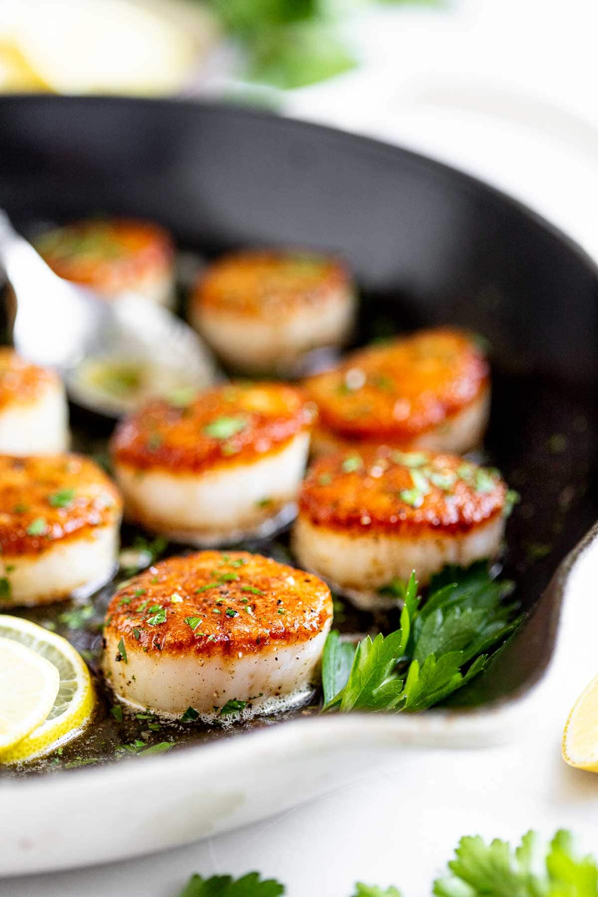 the seared scallops in the pan with parsley