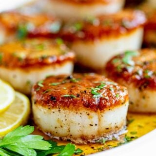side view of scallops