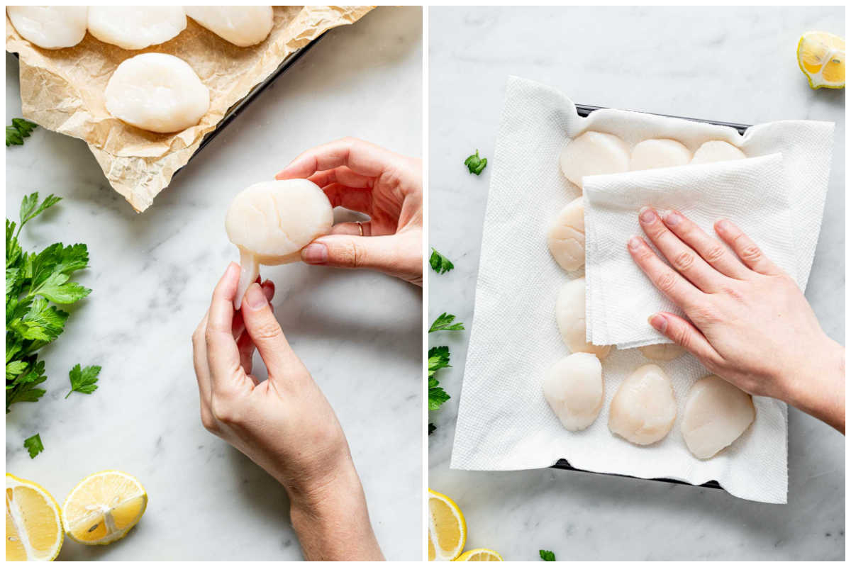removing the scallop "foot" and blotting them dry