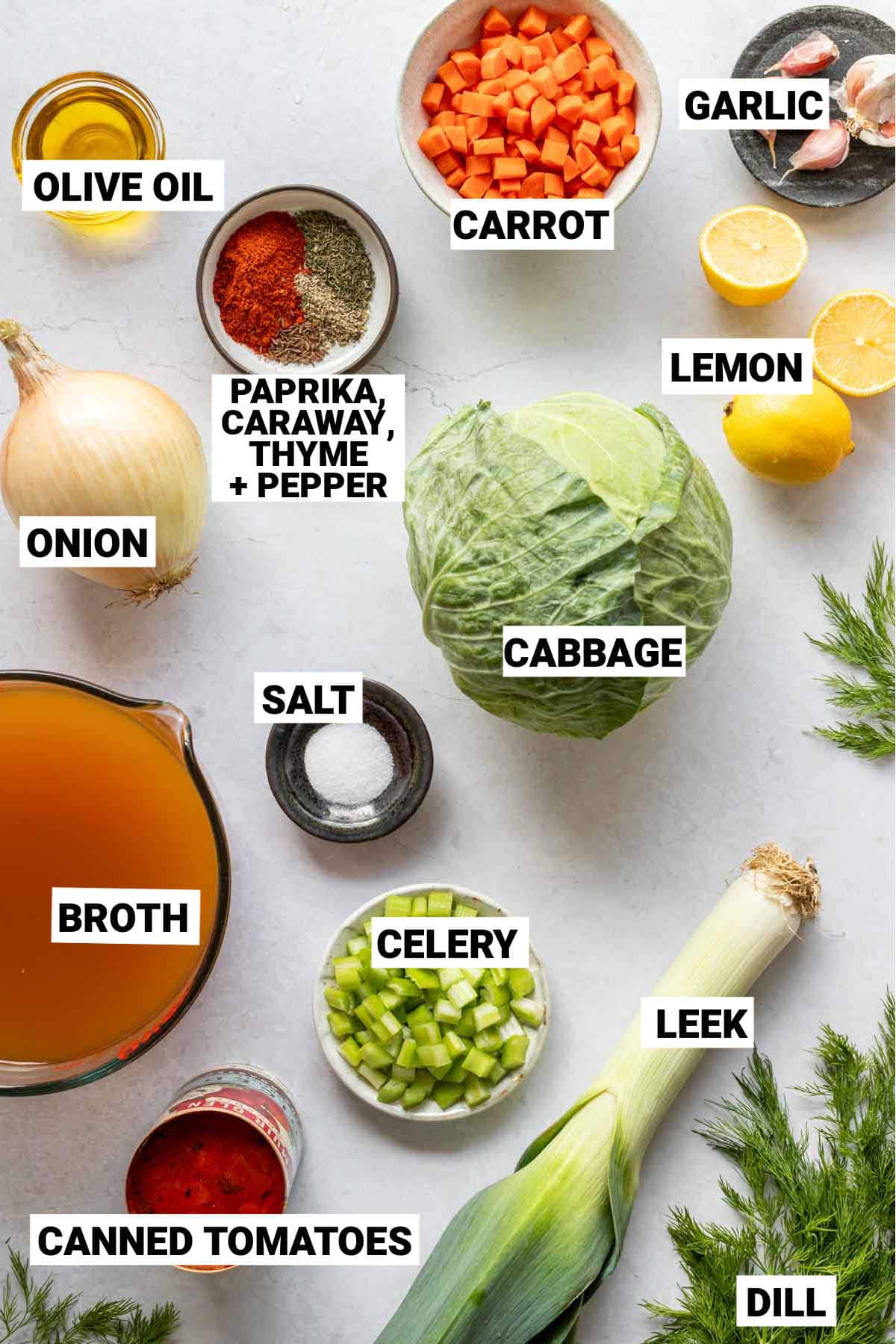 ingredients for low calorie cabbage soup include carrots, olive oil, garlic, lemon, onion, cabbage, salt, broth, celery, leek, canned tomatoes, dill, paprika, caraway, thyme, and black pepper.