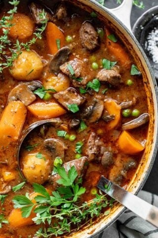 the stew closeup