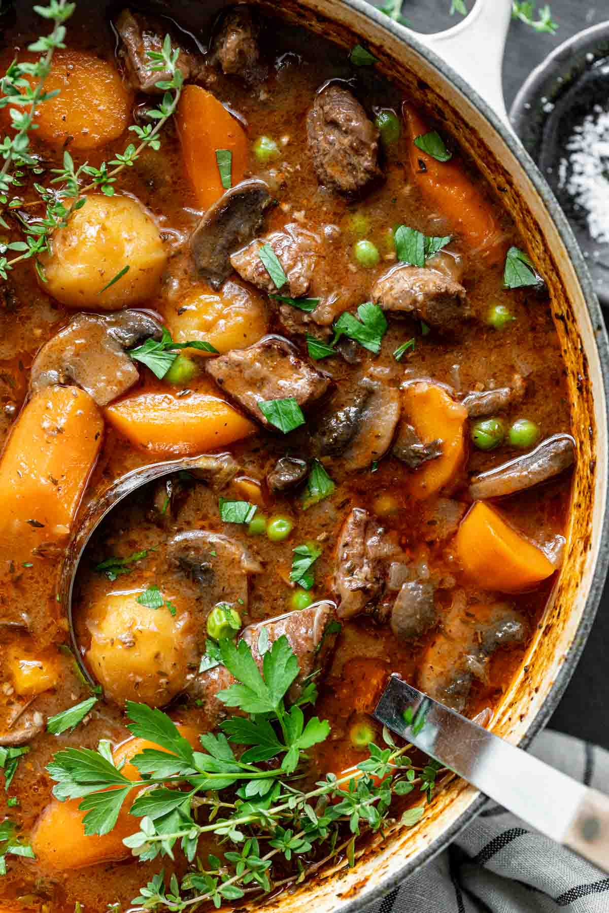 the stew closeup